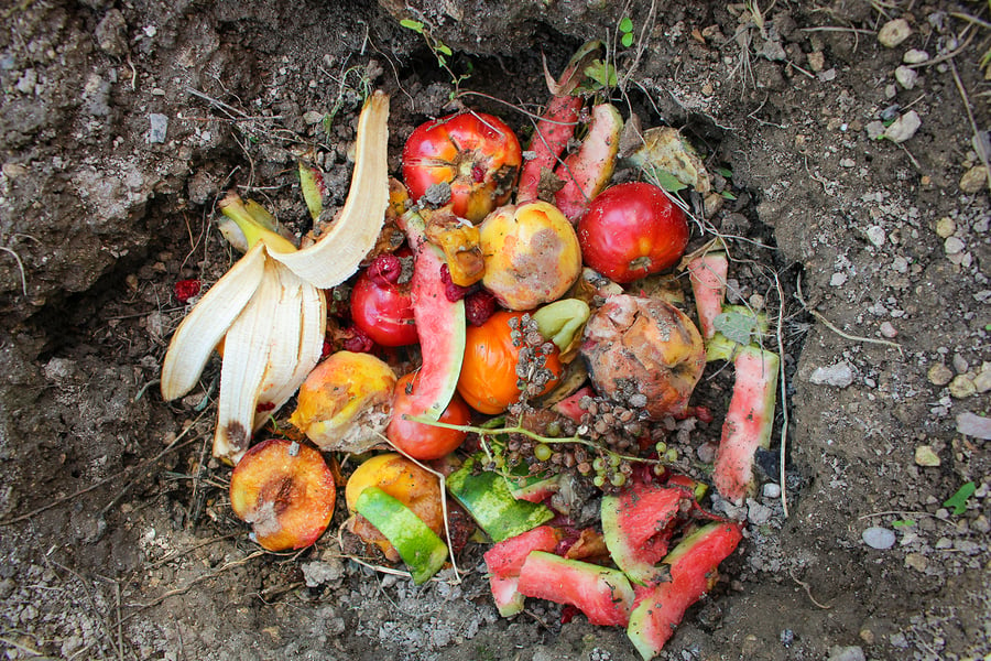 Composting 101