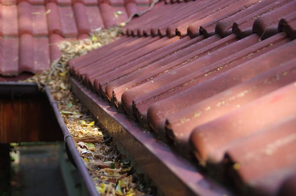 Keep Your Roof in Good Repair