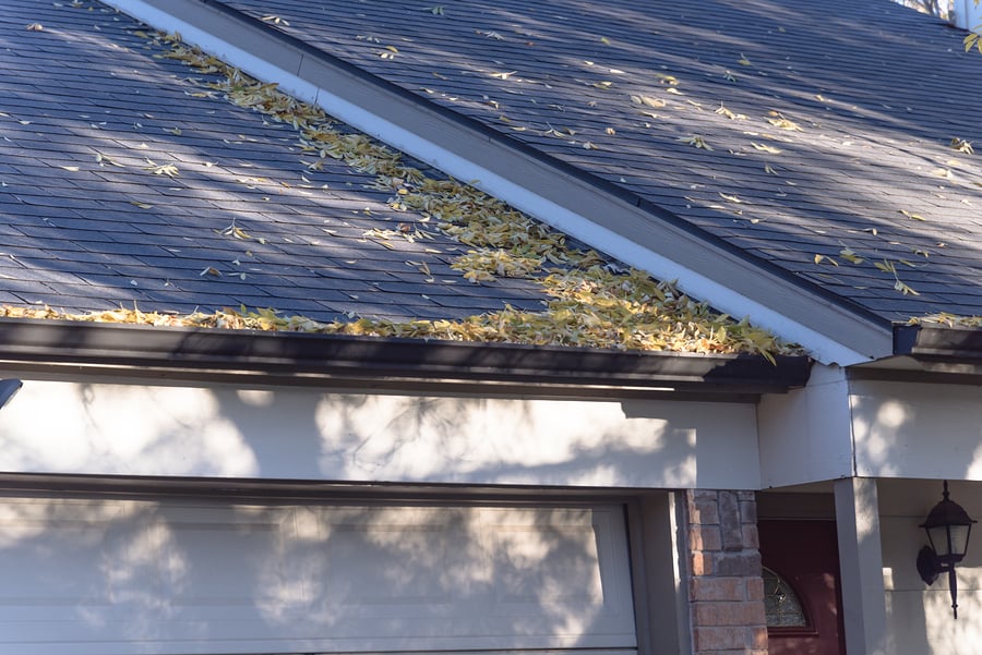 Why Should You Care About Roof Maintenance