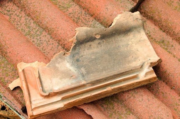 repair-broken-roof-tile.jpg
