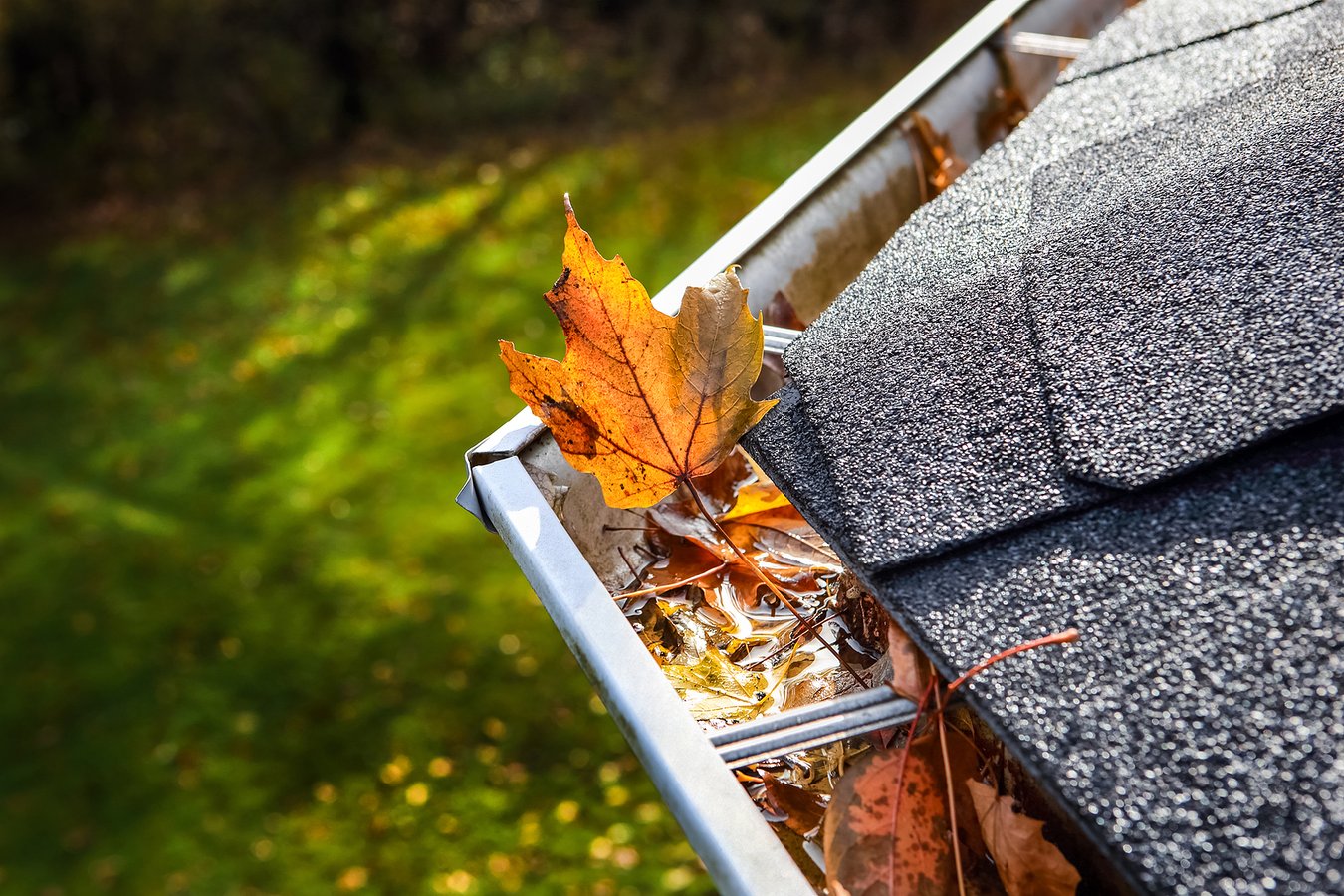 5 Fall Shingle Roof Maintenance Tips