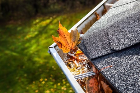 Shingle Roof Maintenance is Essential for the Fall Season