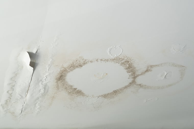 The Roof Leak Repair Contractors at First Quality Offer Service You Can Trust
