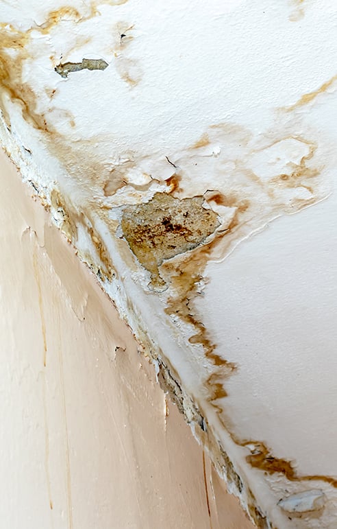 Prevent a Roof Leak with First Quality Roofing & Insulation