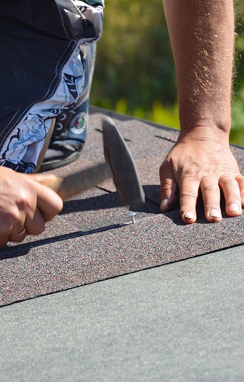 Schedule Your Roof Maintenance with First Quality Roofing & Insulation Today