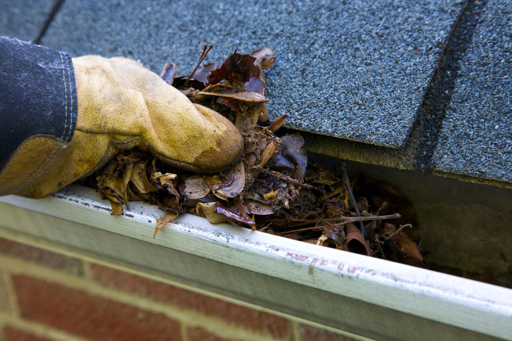 prevent-roof-leaks-with-regular-gutter-cleaning.jpg