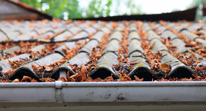 roof_maintenance_roof_lifespan