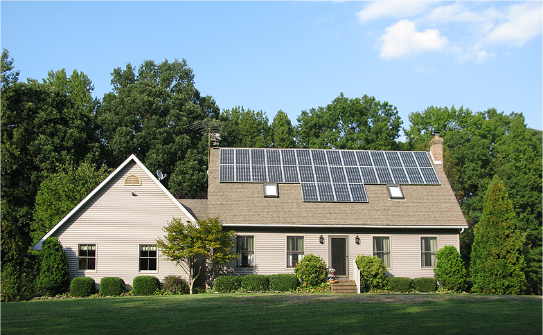 Learn Whether to Trim or Remove Trees for Solar Panels